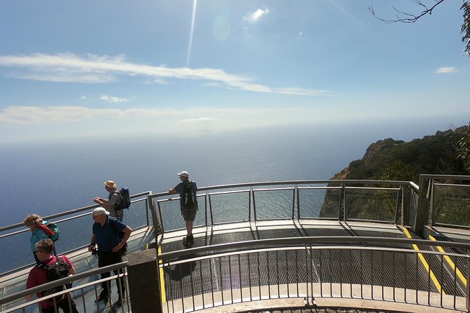 Amazing Skywalk, Wine Tasting & 4x4 Adventure + Dolphin Watching - Local poncha and Madeira wine
