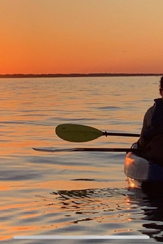Anna Maria Island and Bradenton: Sunset Kayak Dolphin Tour - Why the dolphin encounter feels different from a boat trip