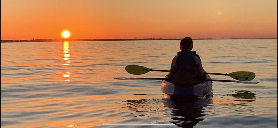 Anna Maria Island and Bradenton: Sunset Kayak Dolphin Tour - Who should book this kayak tour