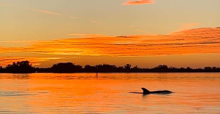 Anna Maria Island and Bradenton: Sunset Kayak Dolphin Tour - What the two-hour route is like