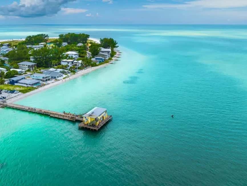 Anna Maria Island: Dolphin Cruise - More than dolphins: manatees, turtles, and rays
