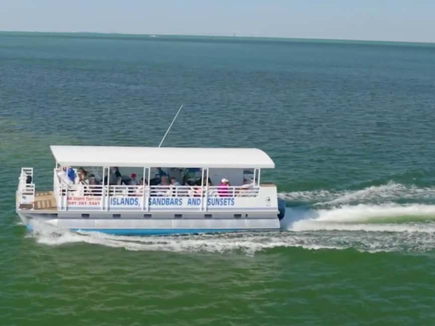 Anna Maria Island: Dolphin Cruise - My verdict: a worthwhile wildlife outing