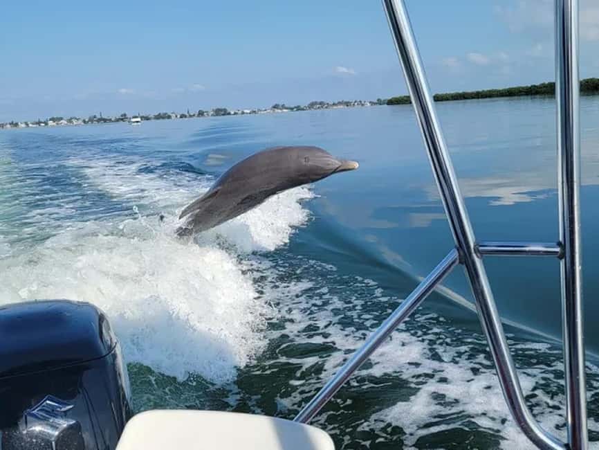 Anna Maria Island: Dolphin Cruise - Watching for dolphins along the seven-mile beach