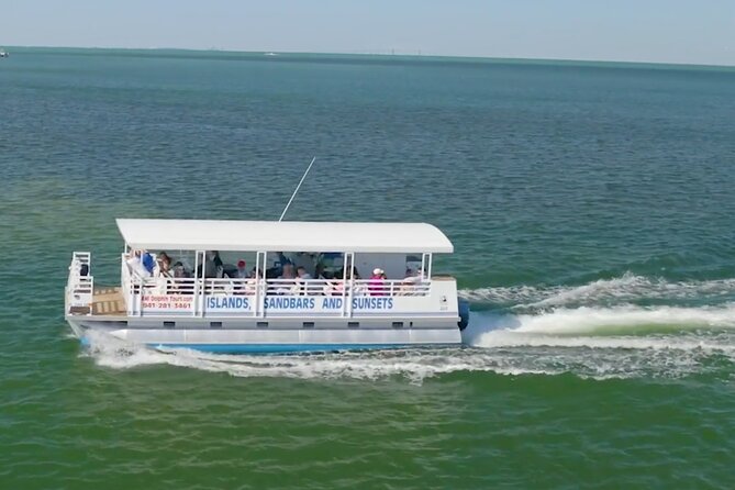 Anna Maria Island Dolphin Sightseeing Adventure - Key points to know before boarding