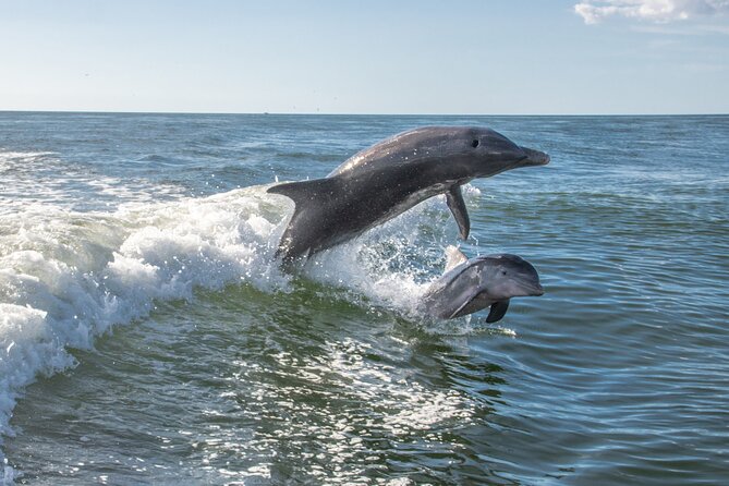 Anna Maria Island Dolphin Sightseeing Adventure - What the scenery adds when dolphins are scarce
