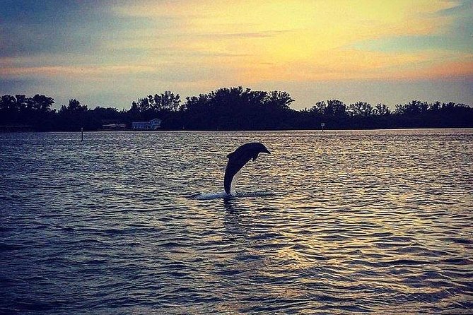 Anna Maria Island Dolphin Sunset Boat Tour - Dolphins first, sunset second