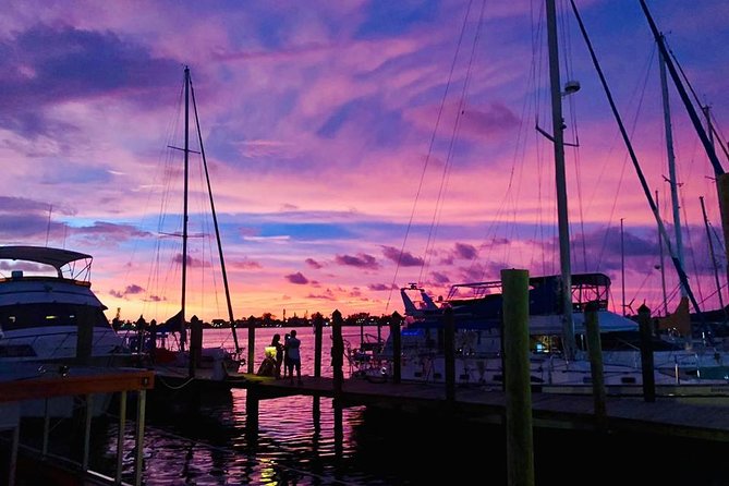 Anna Maria Island Dolphin Sunset Boat Tour - Who will enjoy this cruise most