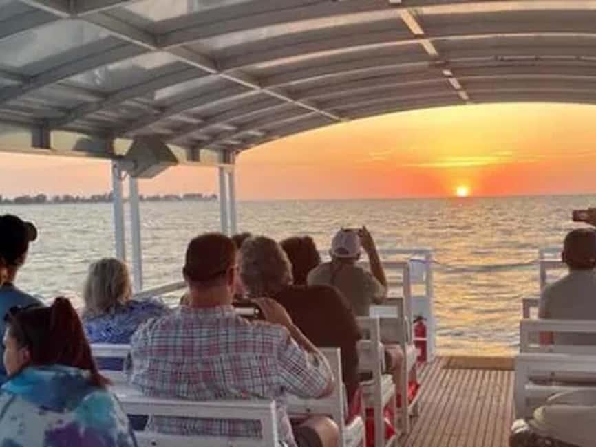 Anna Maria Island: Sunset Dolphin Cruise - The back bay and wildlife search