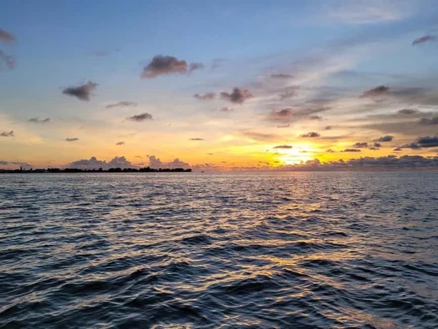 Anna Maria Island: Sunset Dolphin Cruise - Who will enjoy this cruise most?