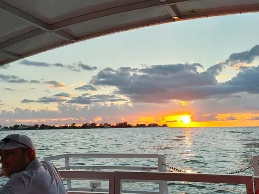 Anna Maria Island: Sunset Dolphin Cruise - Practical tips for a comfortable evening