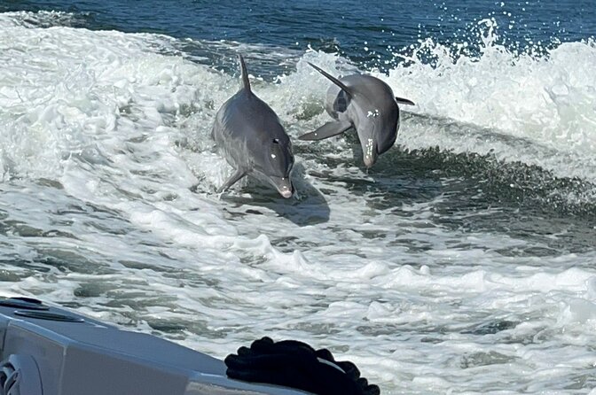 Aqua Sol Adventures-4.5 hour Private Snorkeling,Dolphin,shelling - Key points to know before booking