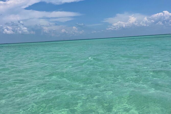 Aqua Sol Adventures-4.5 hour Private Snorkeling,Dolphin,shelling - A private Gulf outing from Gulfport