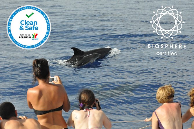 Arieiro Peak and Cristo Rei 4x4 Experience + Dolphins Watching - Three hours on the Atlantic