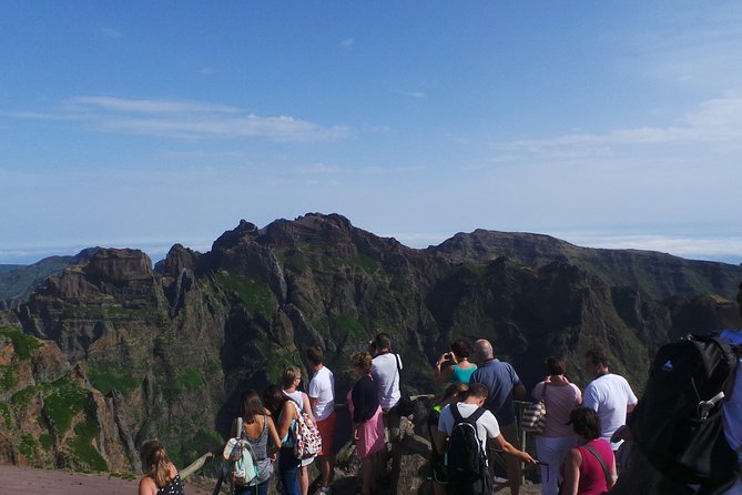 Arieiro Peak and Cristo Rei 4x4 Experience + Dolphins Watching - Practical costs, timing, and comfort