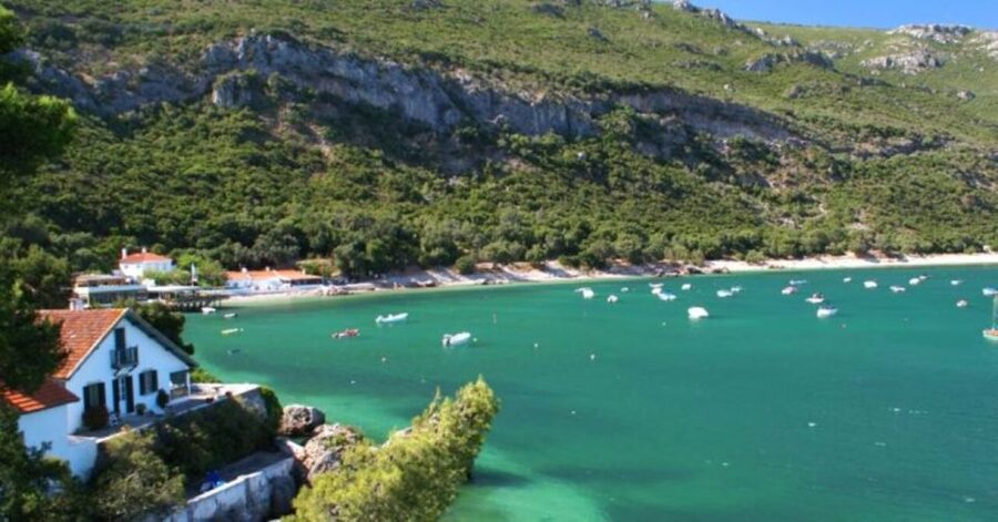 Arrábida Natural Park/Sesimbra: Dolphin Watching - Searching Arrábida Natural Park for dolphins