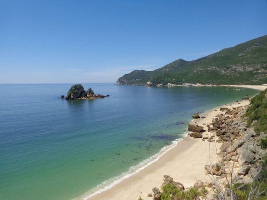 Arrábida Natural Park/Sesimbra: Dolphin Watching - What the dolphin encounter can be like