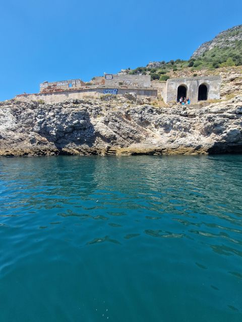 Arrábida Natural Park/Sesimbra: Dolphin Watching - Who should book this Sesimbra trip?