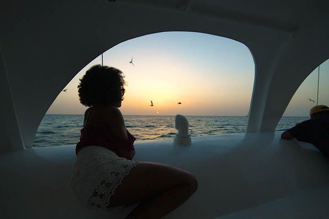 Aruba Sunset Sail Cruise Aboard The Dolphin Catamaran - Who will enjoy this cruise most