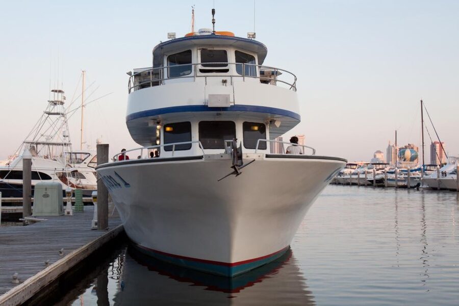 Atlantic City: Dolphin Watching Ocean Cruise Adventure - Seeing Atlantic City from the water