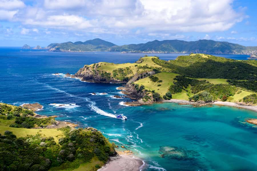 Auckland: Bay of Islands Day Tour with Dolphin Cruise - Leaving Auckland for the Far North