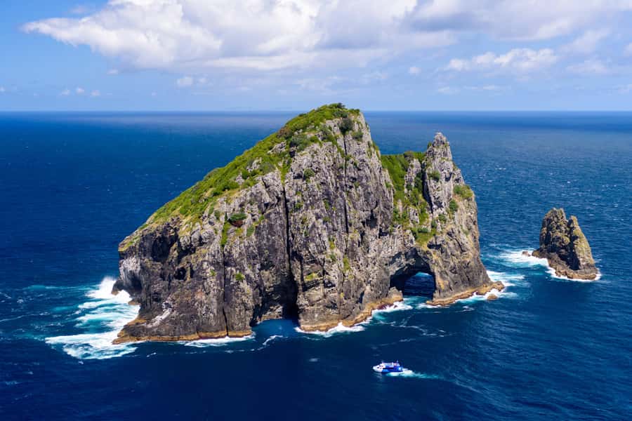 Auckland: Bay of Islands Day Tour with Dolphin Cruise - Is $283 a fair price?