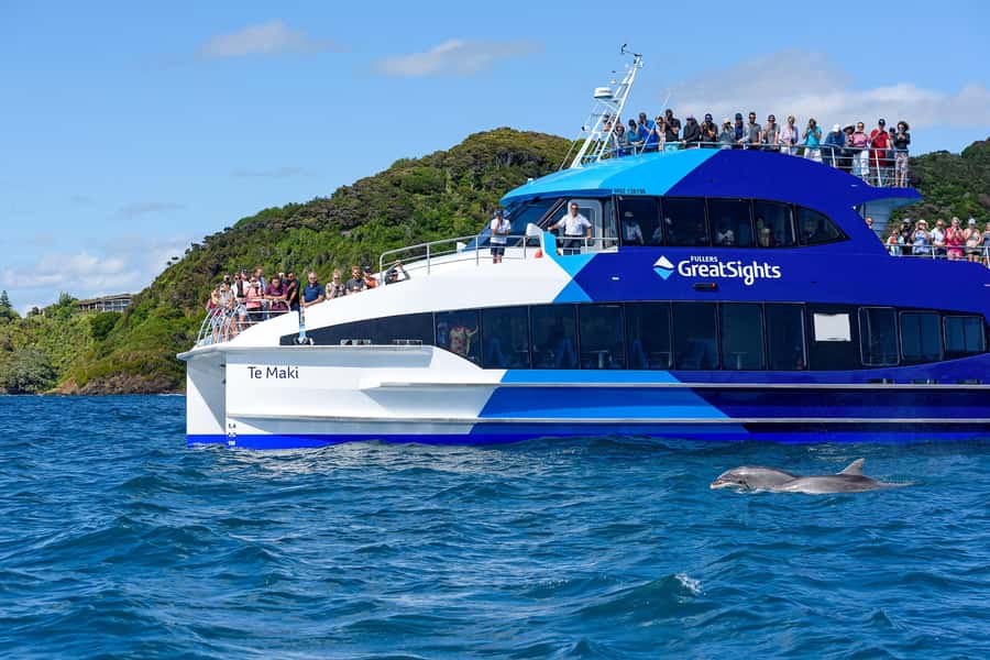 Auckland: Bay of Islands Day Tour with Dolphin Cruise - Who will enjoy this day most?