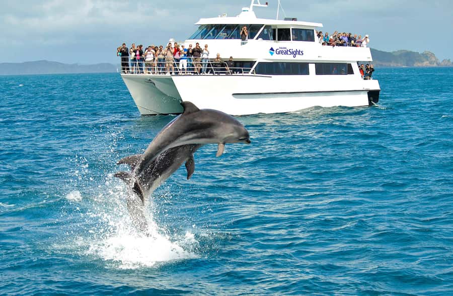 Auckland: Bay of Islands Day Tour with Dolphin Cruise - Should you book the Bay of Islands day tour?