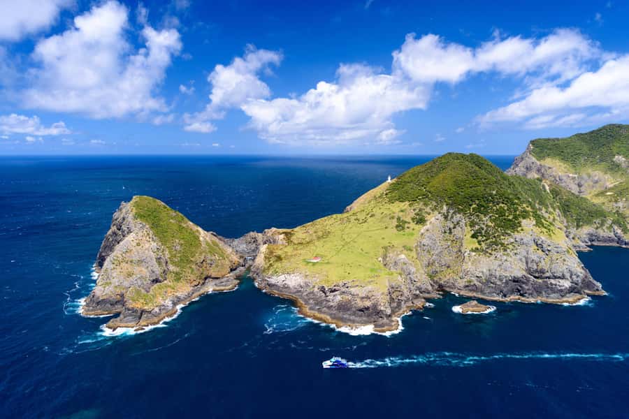 Auckland: Bay of Islands Day Tour with Dolphin Cruise - FAQ