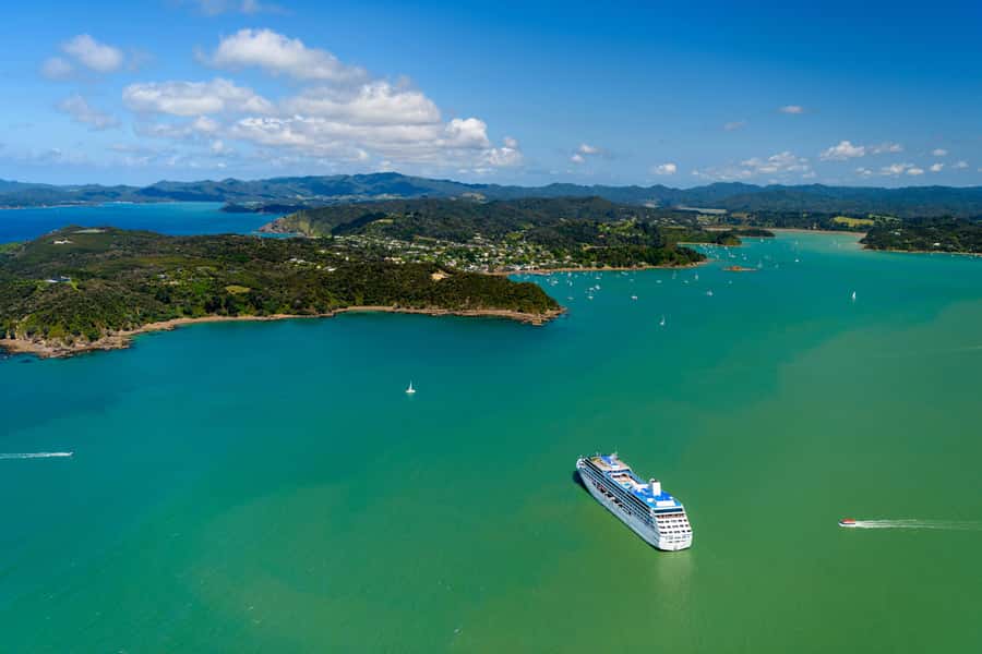 Auckland: Bay of Islands Day Tour with Dolphin Cruise - Wildlife watching without a promise