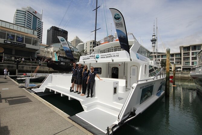 Auckland Dolphin and Whale Watching Eco-Safari Cruise - Rangitoto and the Hauraki Gulf Marine Park