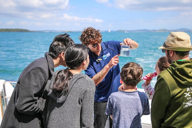 Auckland Dolphin and Whale Watching Eco-Safari Cruise - Weather, comfort, and what to pack