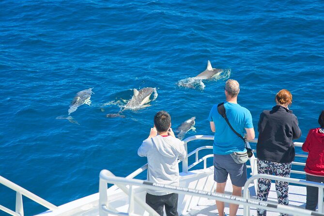 Auckland: Tikapa Moana Dolphin, Whale and Island Cruise - What the boat provides during a long day