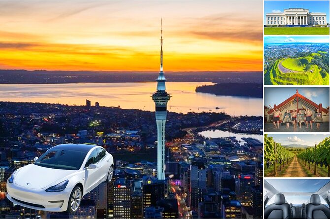 Auckland: Tikapa Moana Dolphin, Whale and Island Cruise - The cultural and conservation story adds value