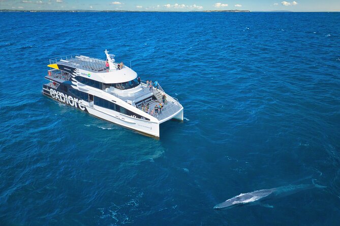 Auckland: Tikapa Moana Dolphin, Whale and Island Cruise - Man O’ War Vineyards offers a slower stop