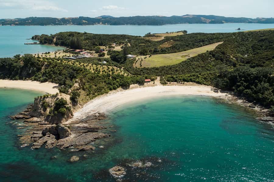 Auckland: Tikapa Moana Whales, Dolphins and Islands Cruise - Man O’ War Vineyard: wine, lunch, and a tighter schedule