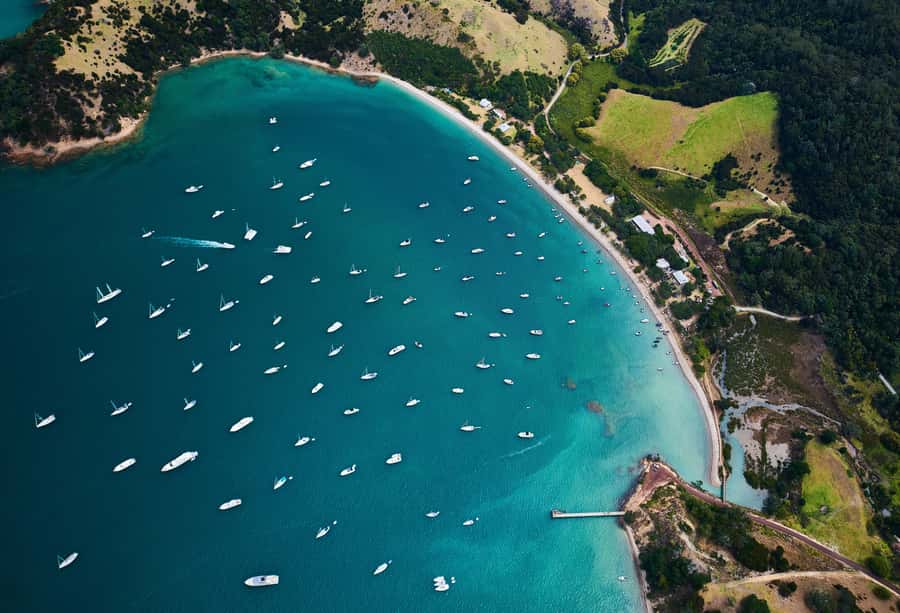Auckland: Tikapa Moana Whales, Dolphins and Islands Cruise - Is the $92 price good value?