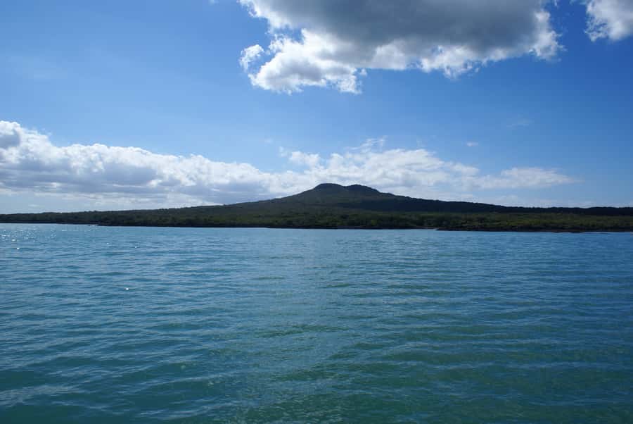 Auckland: Tikapa Moana Whales, Dolphins and Islands Cruise - Who should book this cruise?