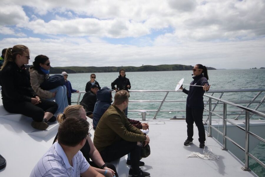Auckland: Whale and Dolphin Watching Half-Day Eco Cruise - Should you book the Auckland Whale and Dolphin Safari?