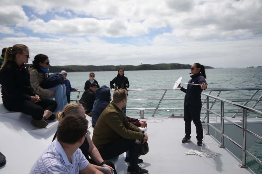 Auckland: Whale and Dolphin Watching Half-Day Eco Cruise - The Hauraki Gulf search