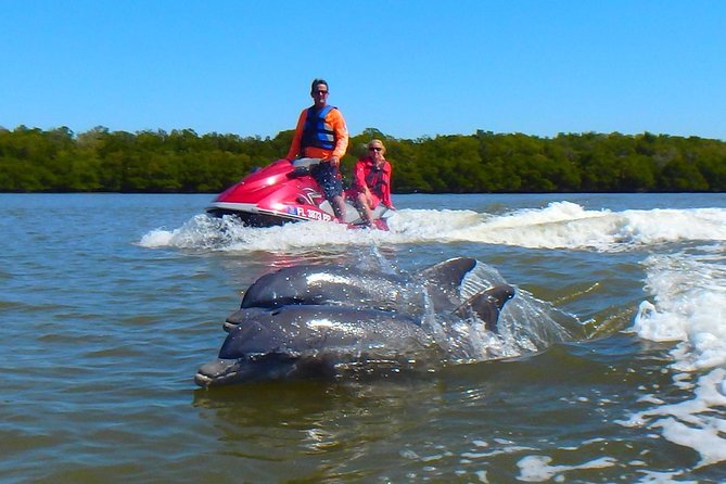 Avi's Premium Dolphin Tour by Jet Ski - Key points to know before you book