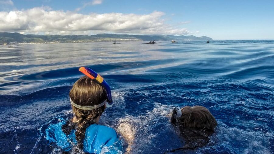 Azores: Swim with Dolphins Atlantic Experience - What the three-hour route feels like