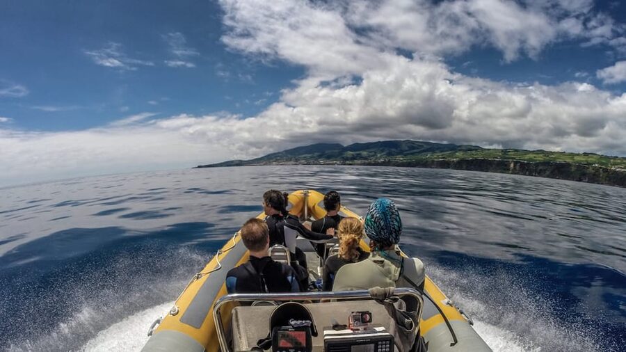 Azores: Swim with Dolphins Atlantic Experience - How the dolphin swim is managed