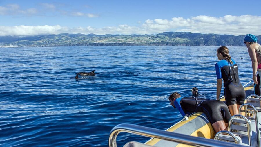 Azores: Swim with Dolphins Atlantic Experience - The snorkeling stop adds needed balance