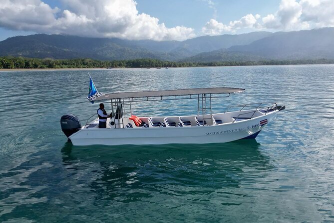 Bahia Ballena Whale and Dolphin Tour - Morning - Key points to know before you book