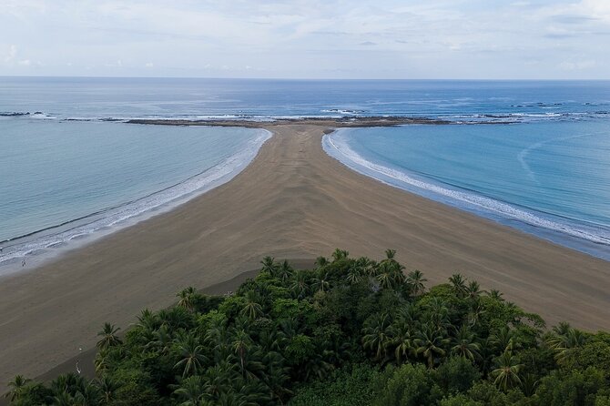 Bahia Ballena Whale and Dolphin Tour - Morning - Isla Ballena adds a swim or snorkel stop