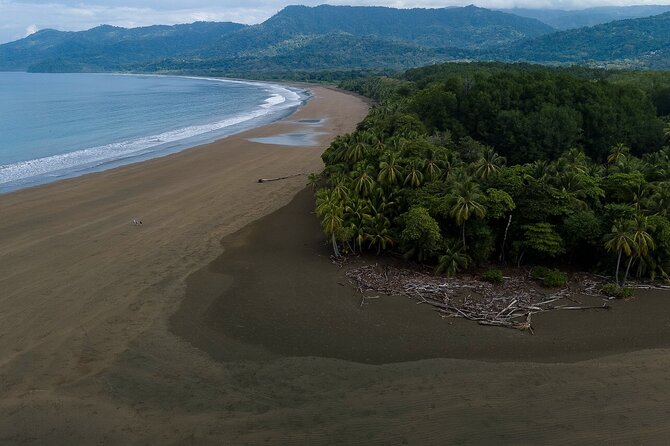 Bahia Ballena Whale and Dolphin Tour - Morning - The return route follows several beaches