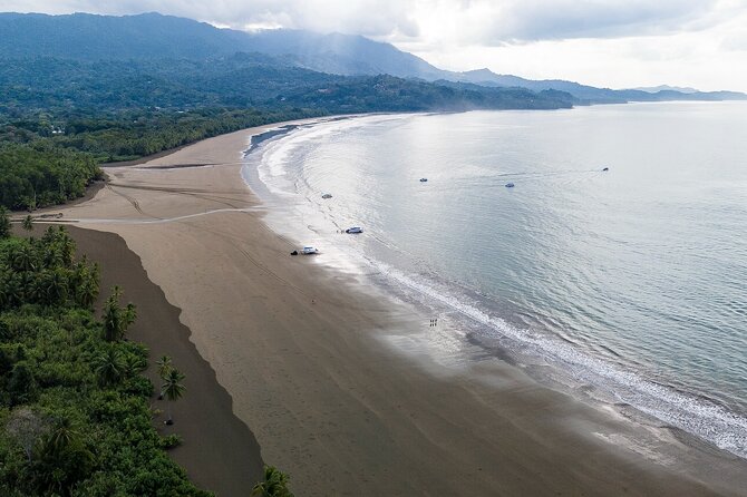 Bahia Ballena Whale and Dolphin Tour - Morning - What to bring and what to expect