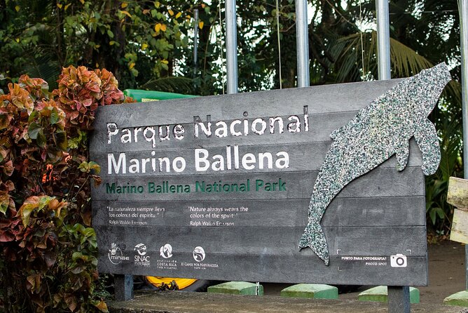 Bahia Ballena Whale and Dolphin Tour - Morning - Getting to the beach at Marino Ballena National Park