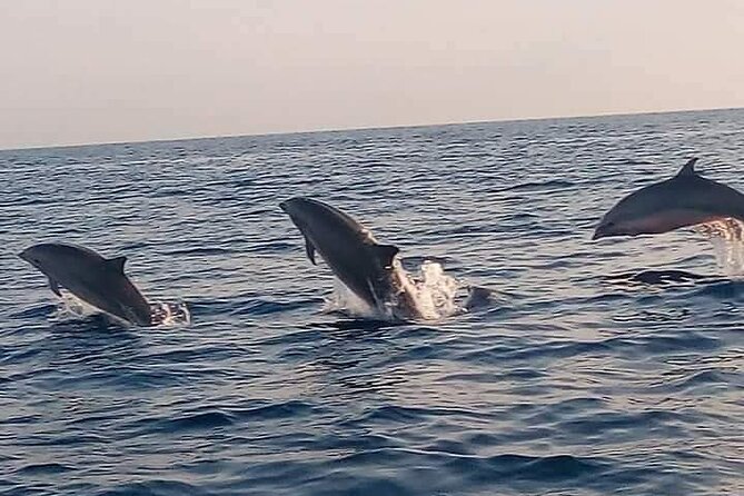 Bali and Lovina with Sunrise Dolphin Tour and Snorkeling - Sunrise on Lovina Bay, Before the Day Gets Busy
