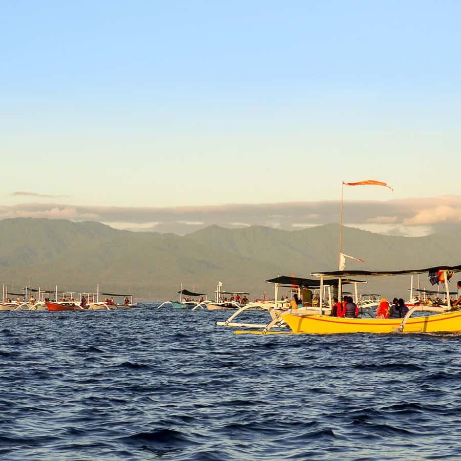 Bali Bliss: Dolphin Lovina Private Expedition - Should you book the Bali Bliss dolphin expedition?